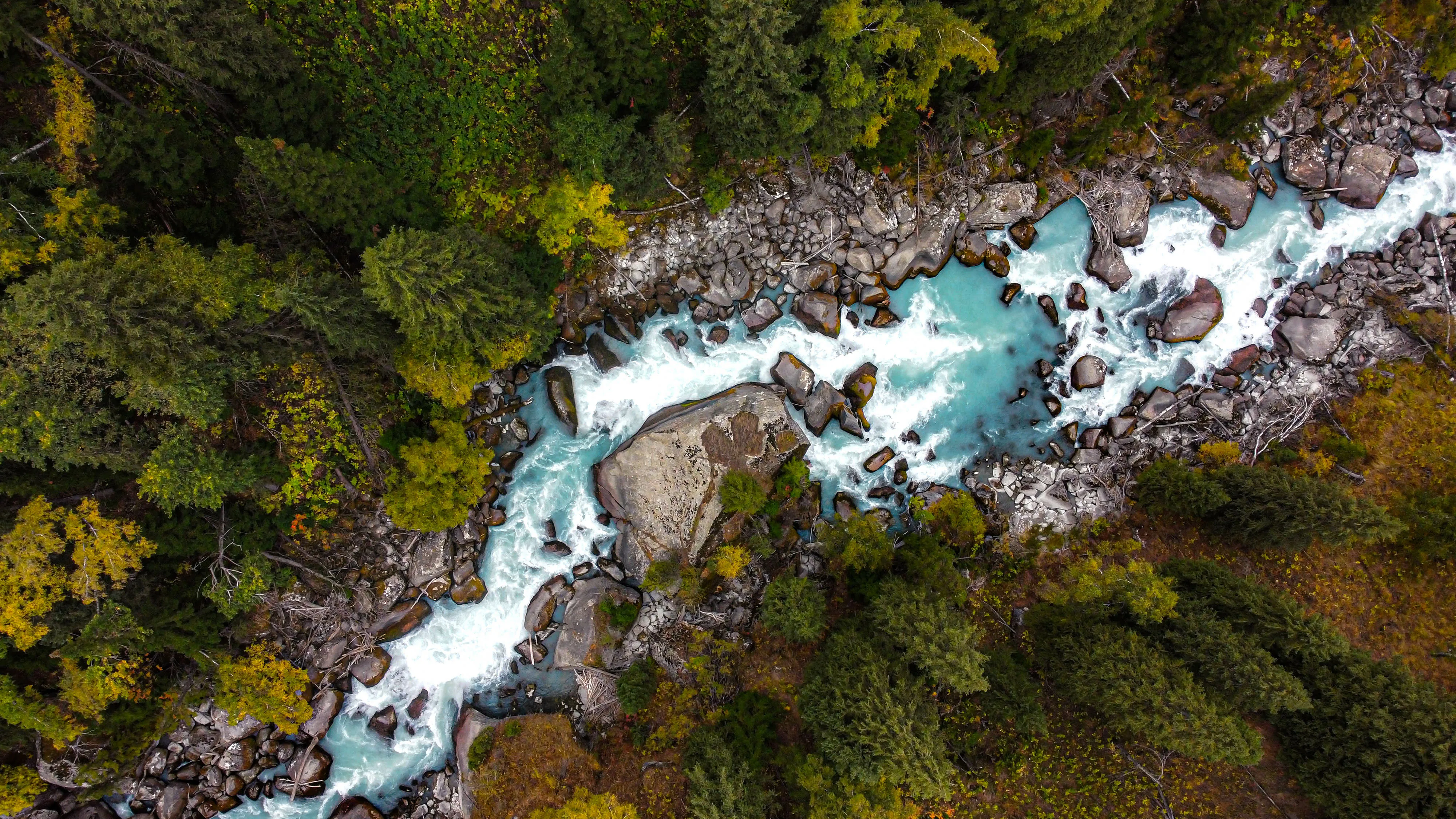 A clear mountain river winding through evergreen forest