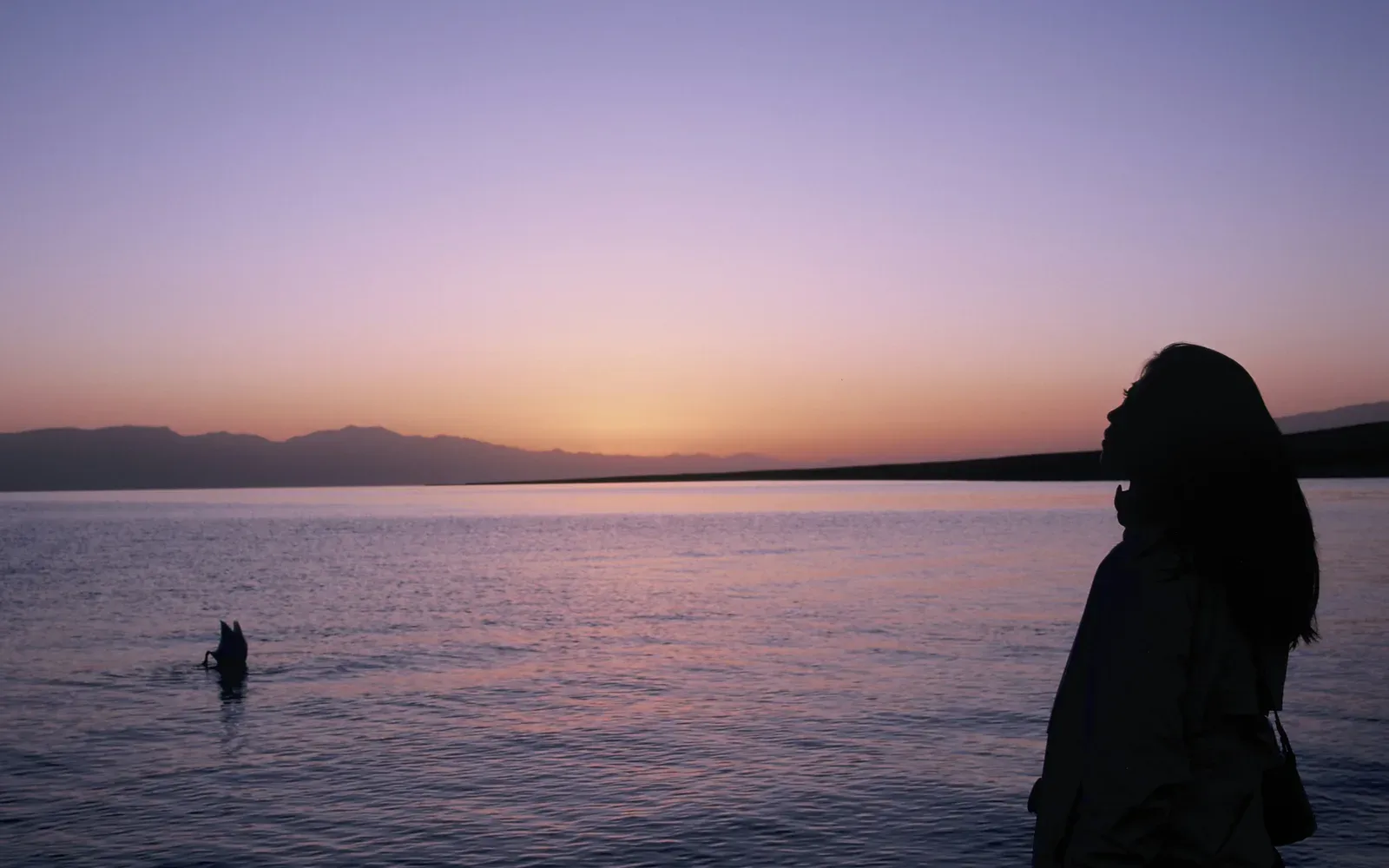 A woman at the water's edge looking toward the sky at dusk